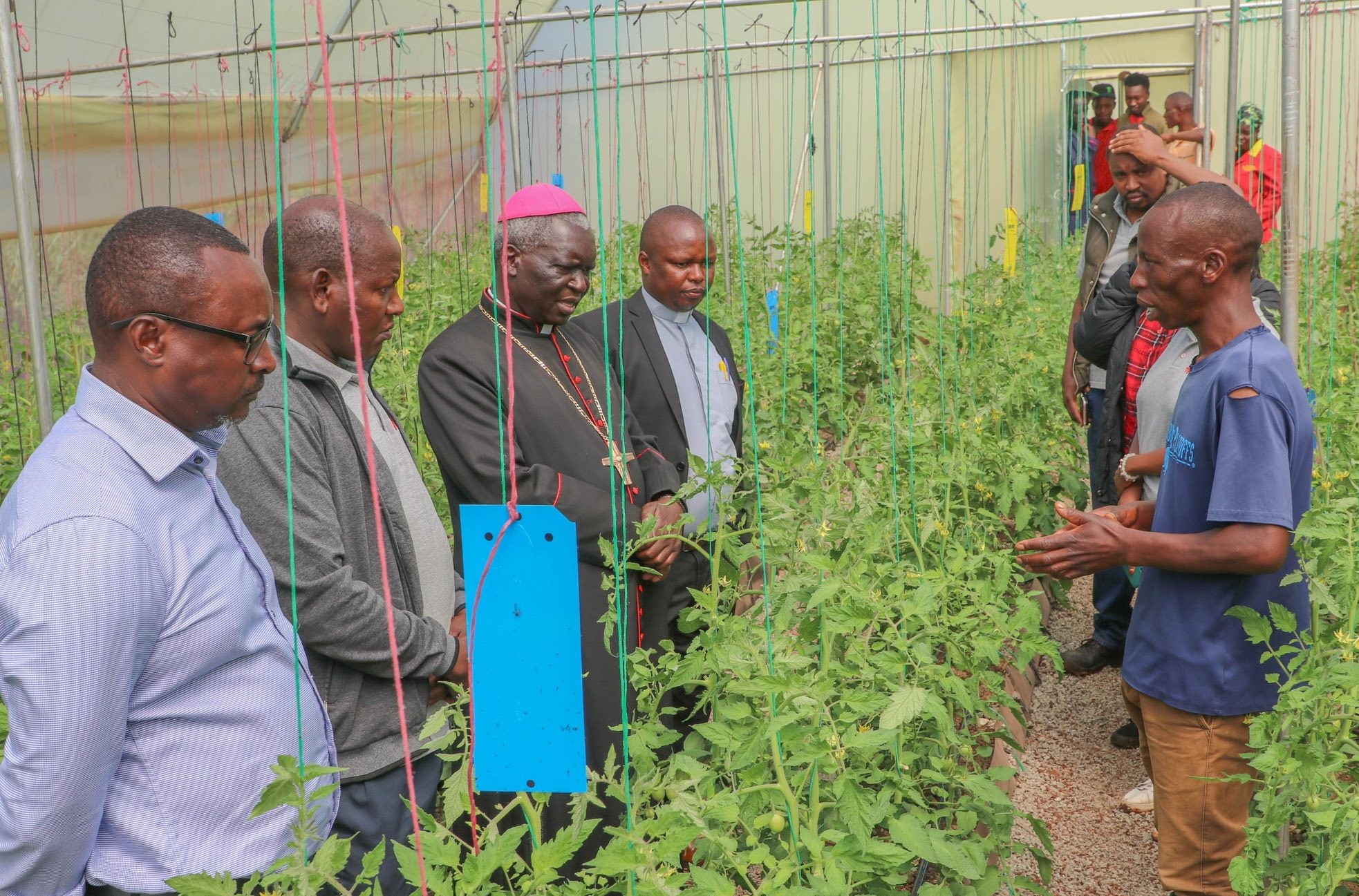 Food Security & Livelihoods Programme
